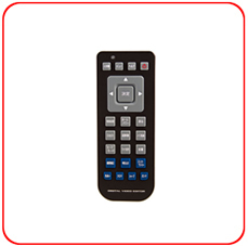 Remote Control Model SW-29